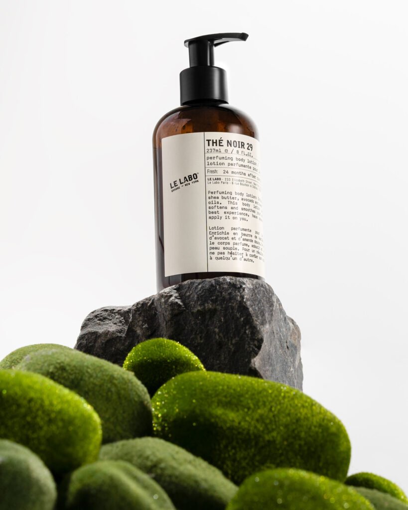 BaSEEK portfolio